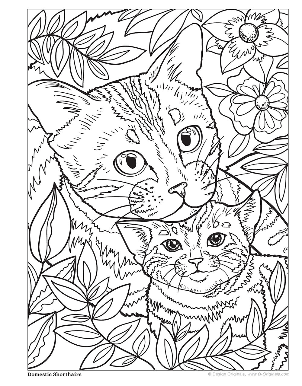 Cats & Kittens Coloring Book