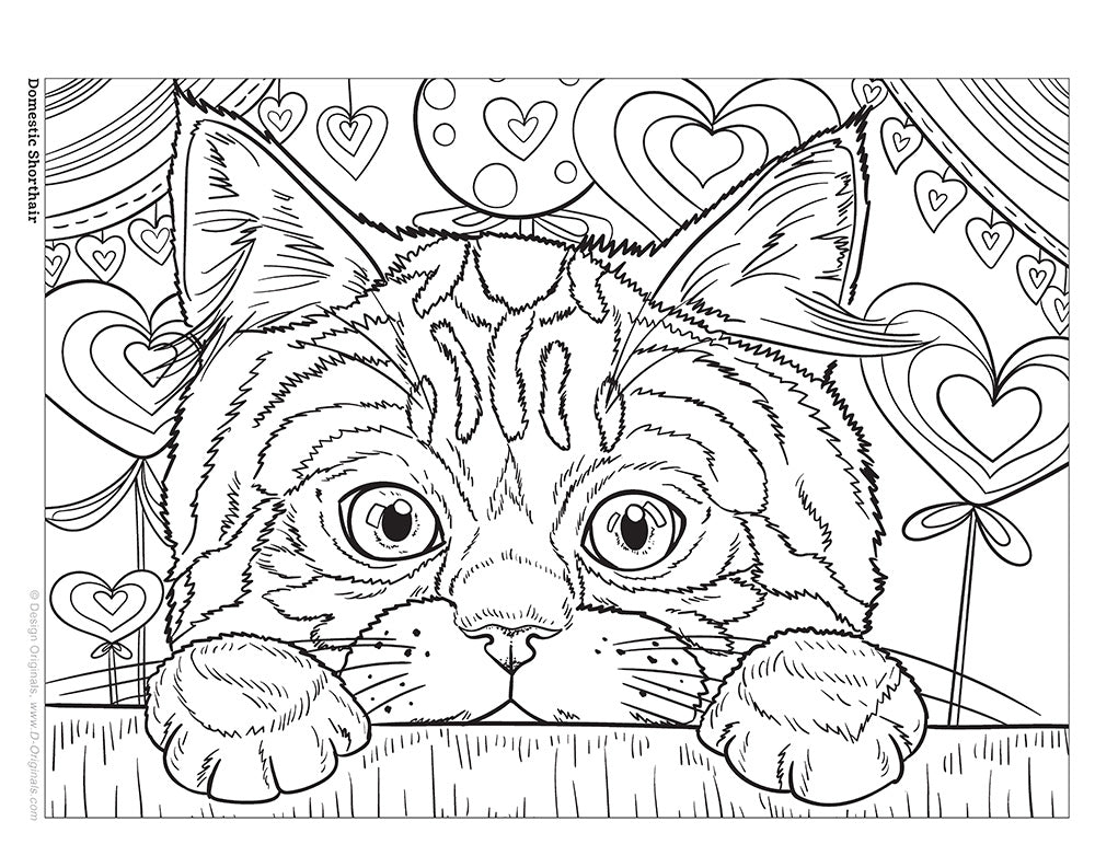Cats & Kittens Coloring Book - Fox Chapel Publishing Co.