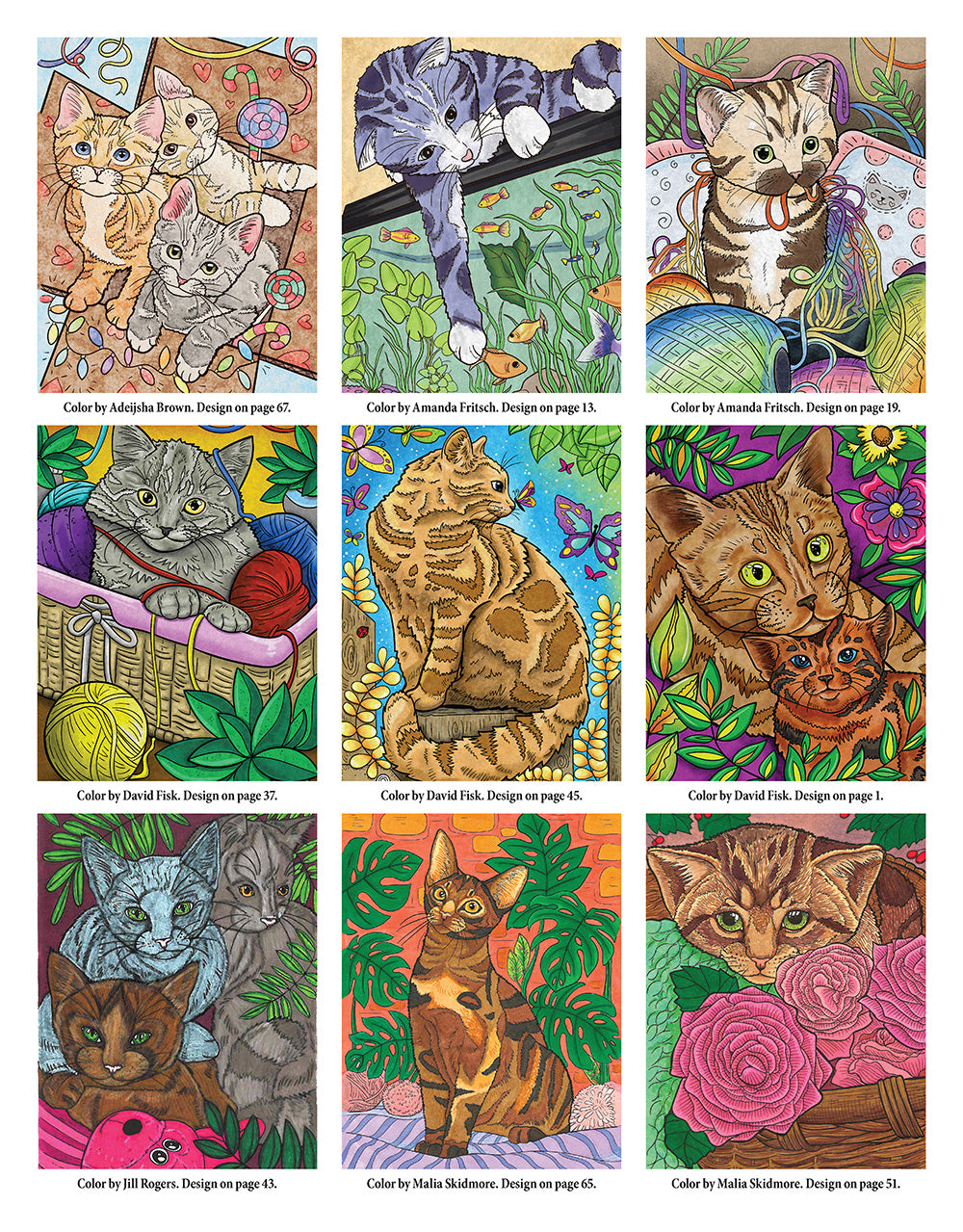 Cats & Kittens Coloring Book - Fox Chapel Publishing Co.