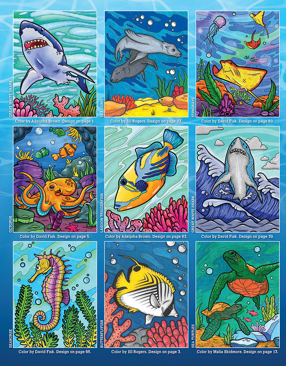 Sharks and Ocean Creatures Coloring Book - Fox Chapel Publishing Co.
