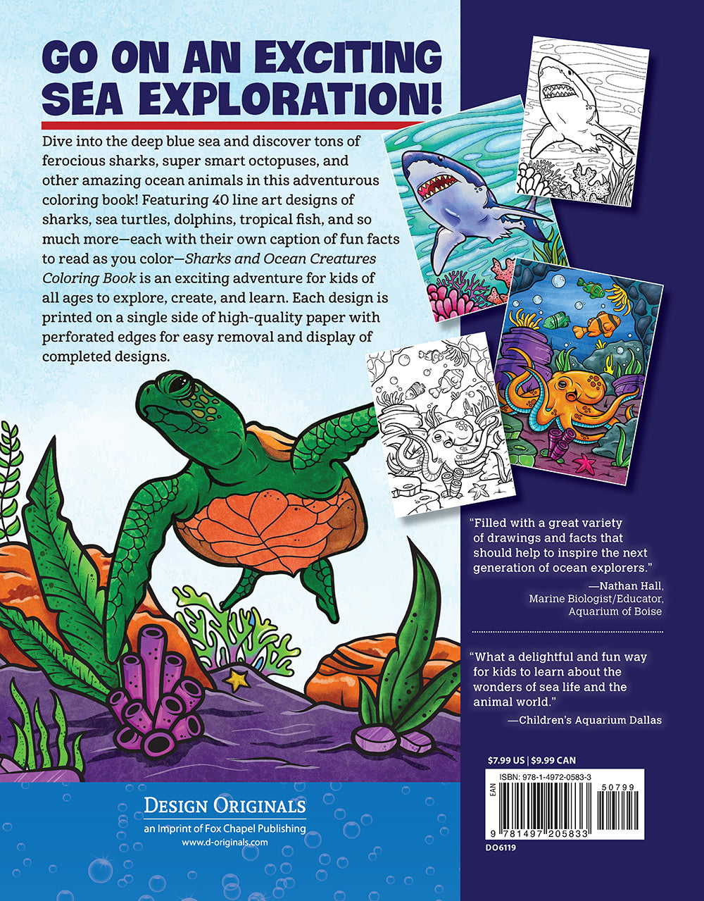 Sharks and Ocean Creatures Coloring Book