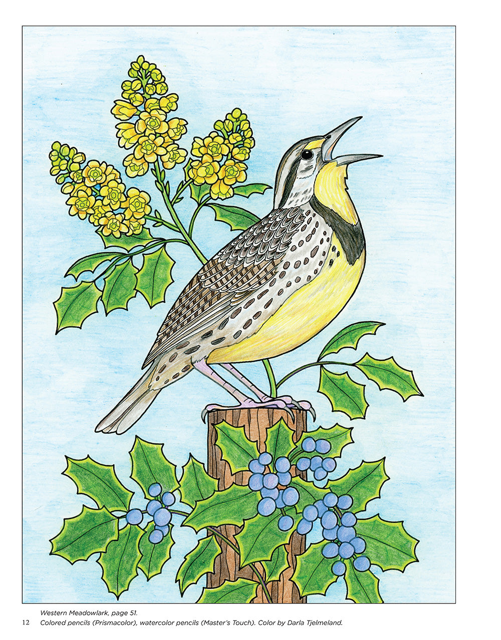 Birds at Home Coloring Book (Revised Edition) - Fox Chapel Publishing Co.