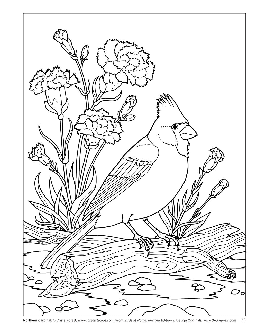 Birds at Home Coloring Book (Revised Edition) - Fox Chapel Publishing Co.
