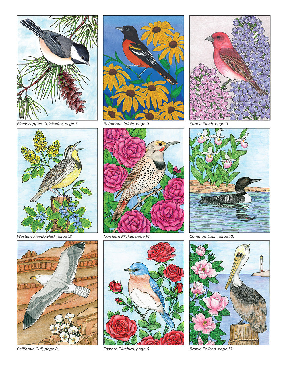 Birds at Home Coloring Book (Revised Edition) - Fox Chapel Publishing Co.
