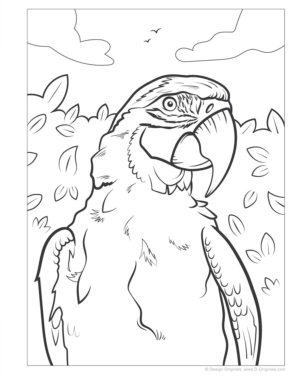 Great Amazon & Rainforest Coloring Book (with stickers) - Fox Chapel Publishing Co.