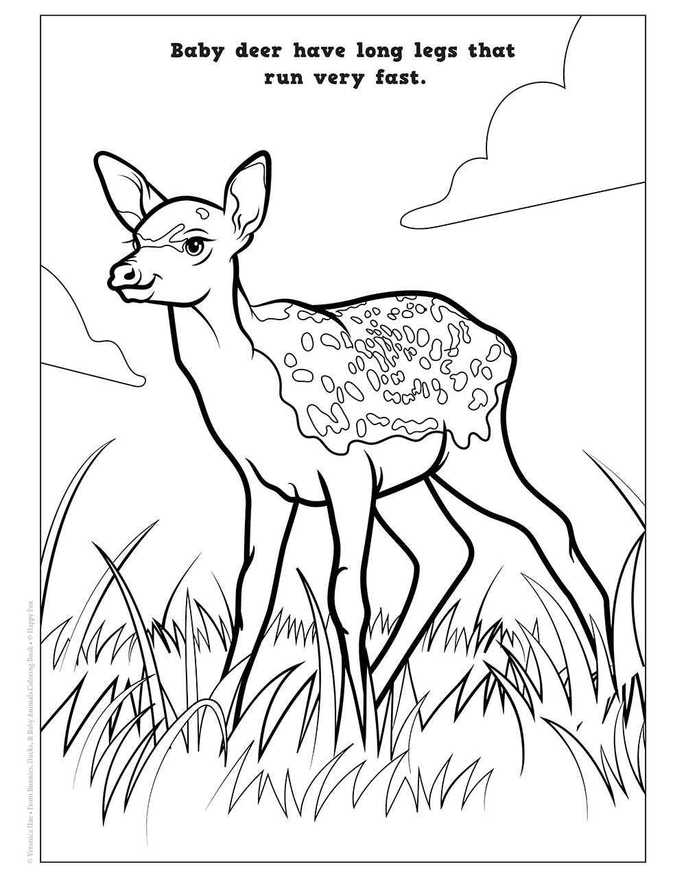 Bunnies, Ducks and Baby Animals Coloring Book