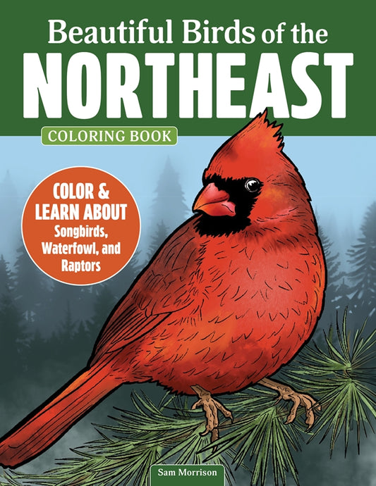 Beautiful Birds of the Northeast Coloring Book