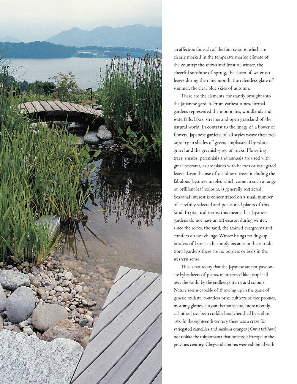 Authentic Japanese Gardens