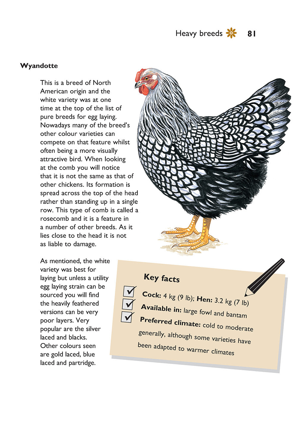 Self-Sufficiency: Hen Keeping - Fox Chapel Publishing Co.