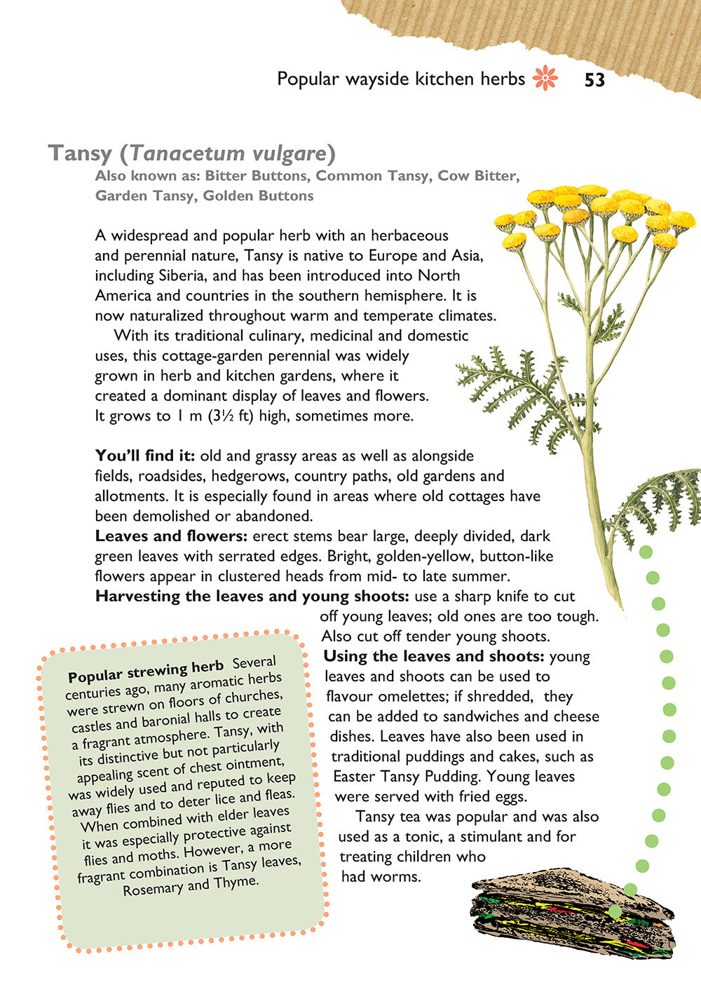 Self-Sufficiency: Foraging for Wild Foods - Fox Chapel Publishing Co.