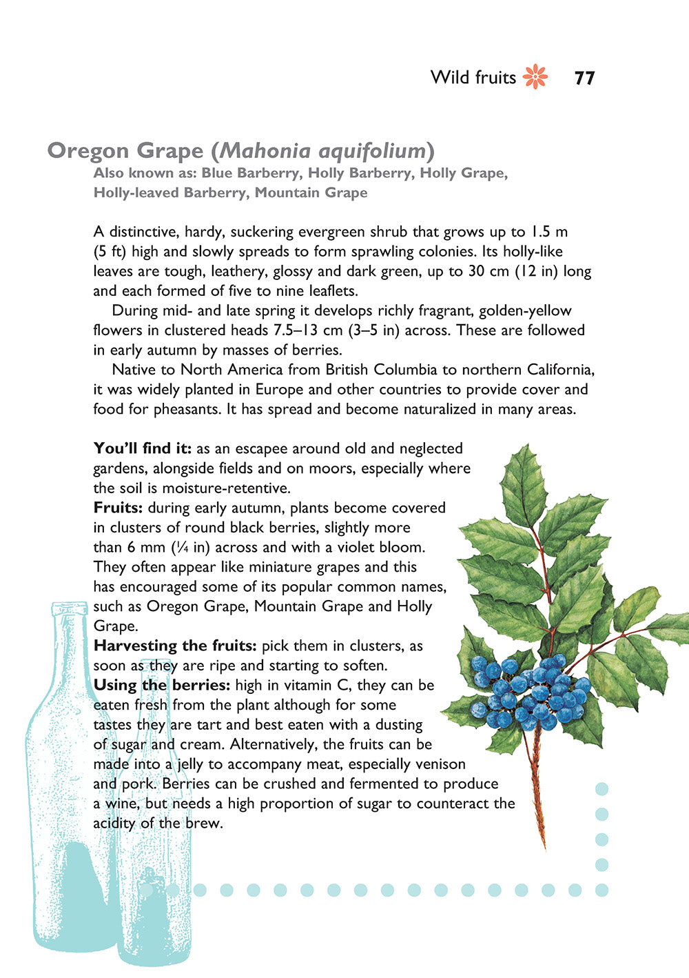 Self-Sufficiency: Foraging for Wild Foods - Fox Chapel Publishing Co.