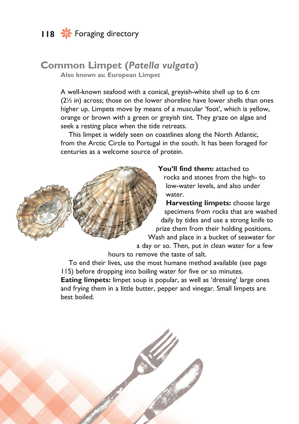 Self-Sufficiency: Foraging for Wild Foods - Fox Chapel Publishing Co.