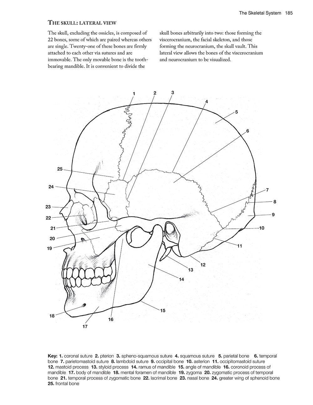 Complete Anatomy Coloring Book, Newly Revised and Updated Edition - Fox Chapel Publishing Co.
