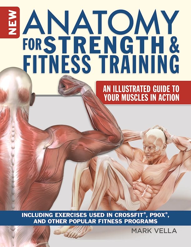 New Anatomy for Strength & Fitness Training - Fox Chapel Publishing Co.