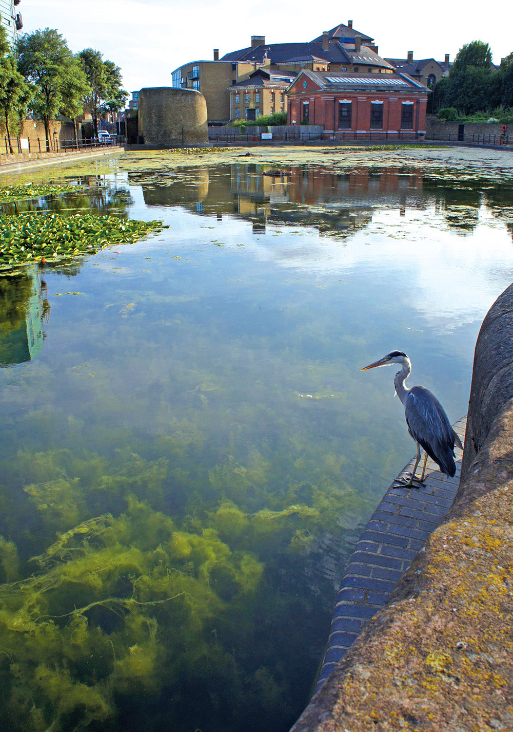 Walking London's Waterways, Updated Edition - Fox Chapel Publishing Co.