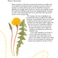 Self-Sufficiency: Herbs and Spices