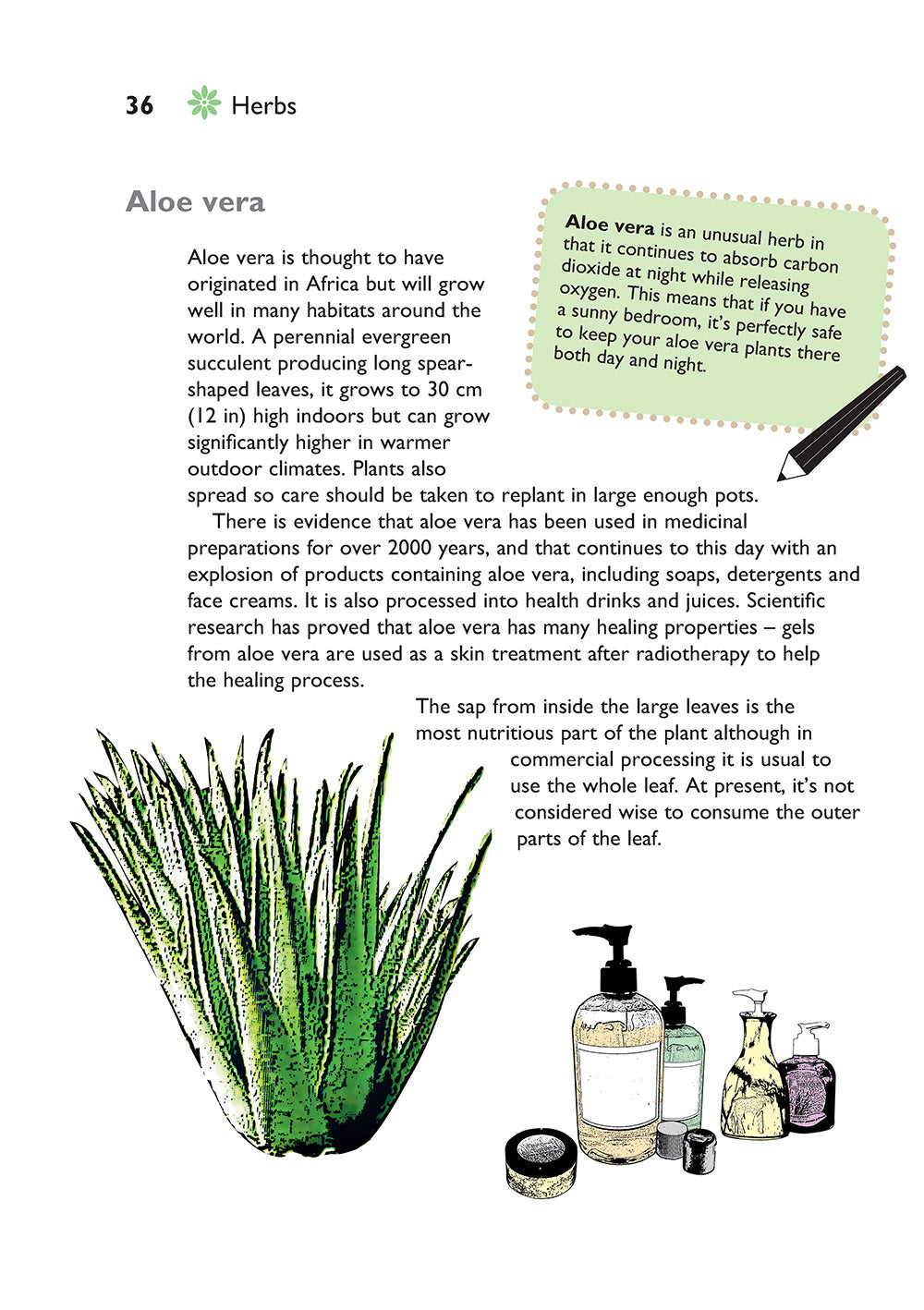 Self-Sufficiency: Herbs and Spices - Fox Chapel Publishing Co.