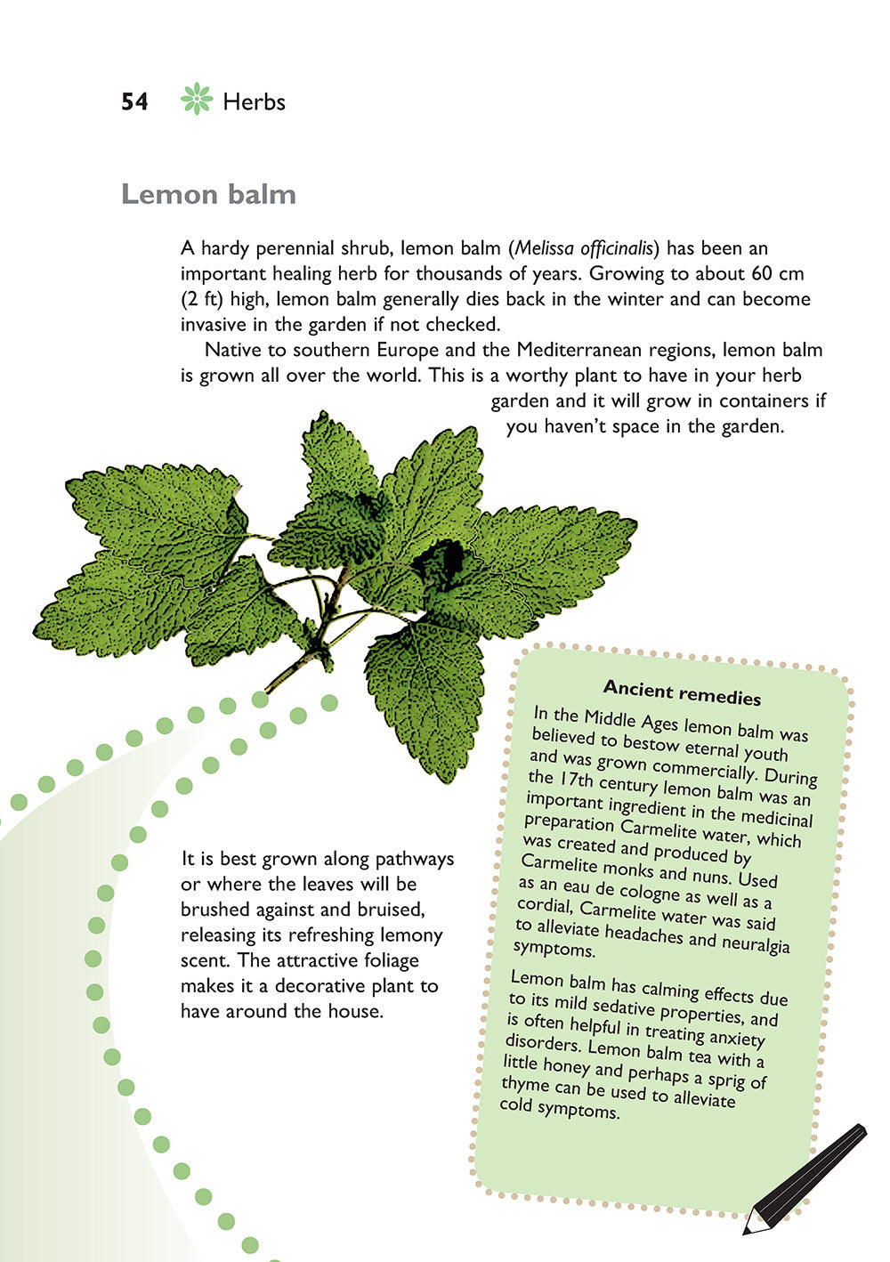 Self-Sufficiency: Herbs and Spices - Fox Chapel Publishing Co.