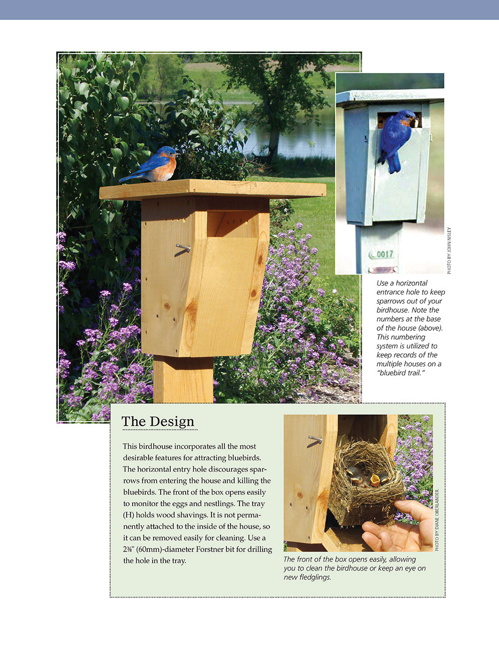 Birdhouses, Boxes & Feeders for the Backyard Hobbyist - Fox Chapel Publishing Co.