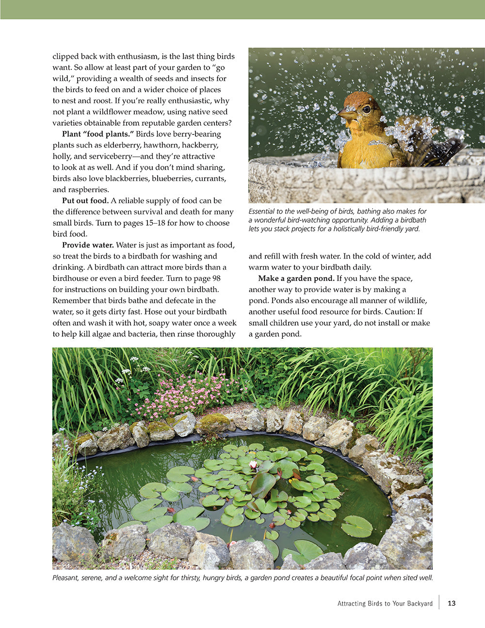 Birdhouses, Boxes & Feeders for the Backyard Hobbyist - Fox Chapel Publishing Co.