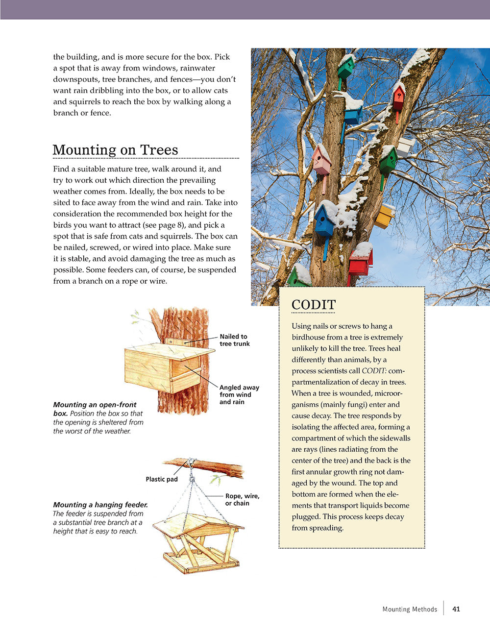 Birdhouses, Boxes & Feeders for the Backyard Hobbyist - Fox Chapel Publishing Co.