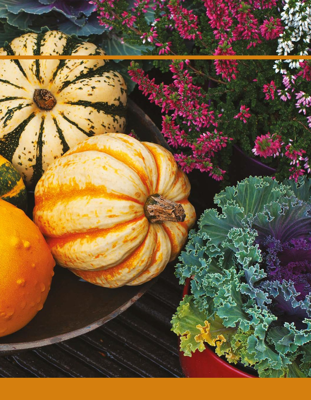 Beginner's Garden - Fox Chapel Publishing Co.