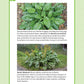 Guide to Wild Food Foraging, A