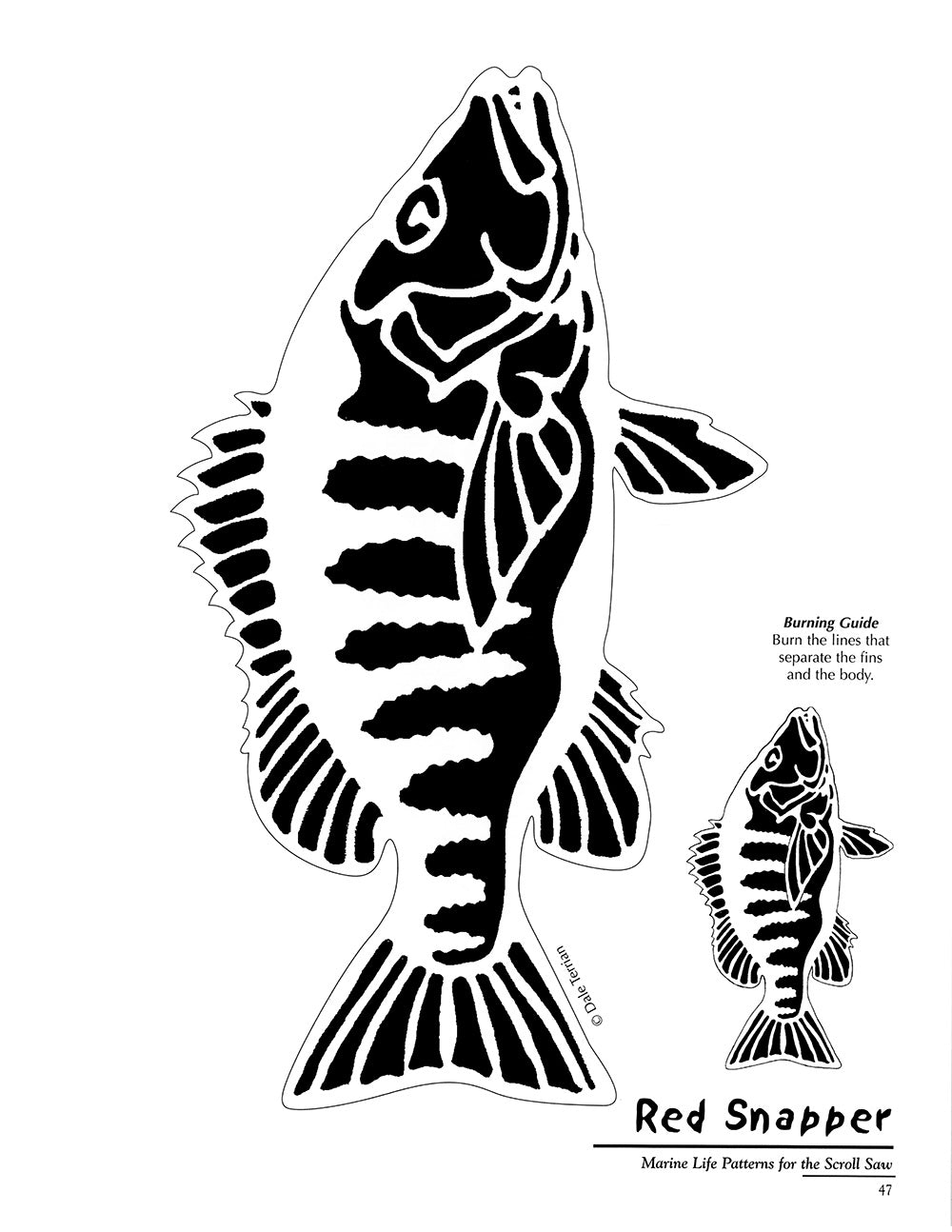Marine Life Patterns for the Scroll Saw - Fox Chapel Publishing Co.