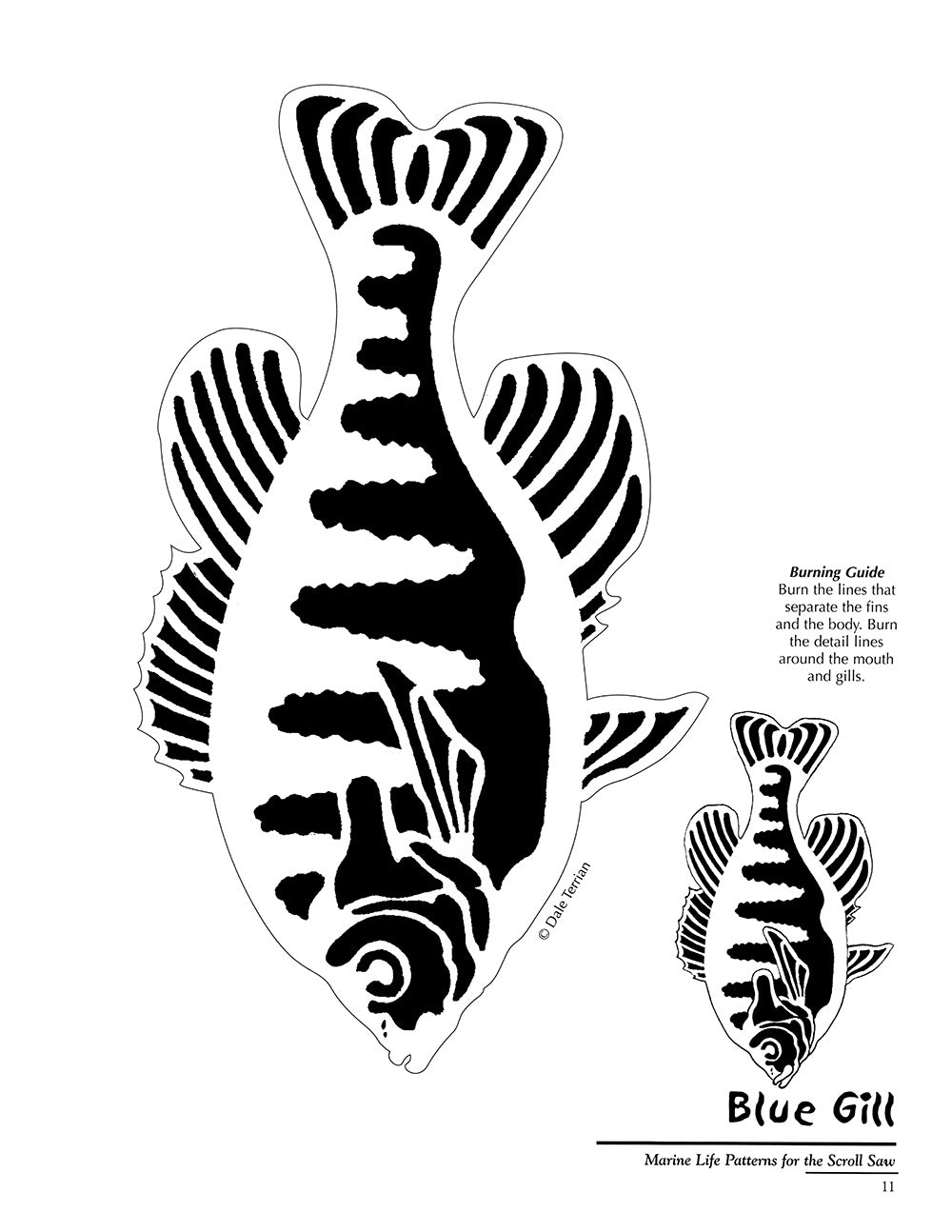 Marine Life Patterns for the Scroll Saw - Fox Chapel Publishing Co.