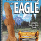 Chainsaw Carving an Eagle