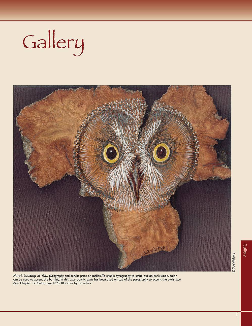 Pyrography Workbook - Fox Chapel Publishing Co.