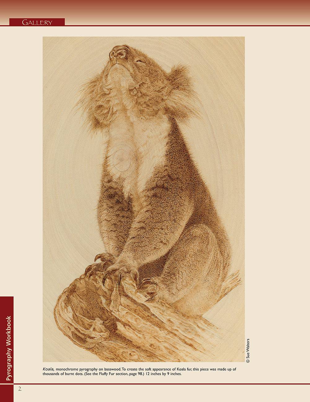 Pyrography Workbook - Fox Chapel Publishing Co.
