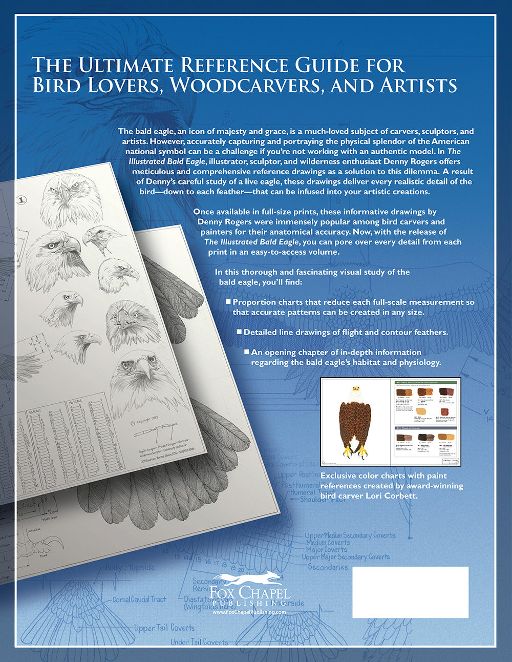 Illustrated Bald Eagle - Fox Chapel Publishing Co.