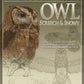 Illustrated Owl: Screech & Snowy