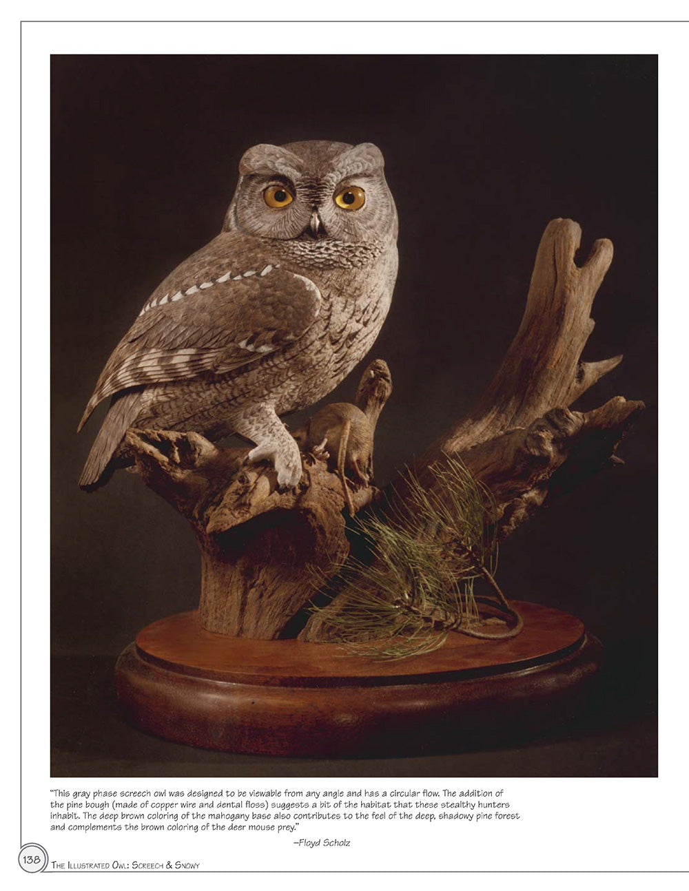 Illustrated Owl: Screech & Snowy - Fox Chapel Publishing Co.