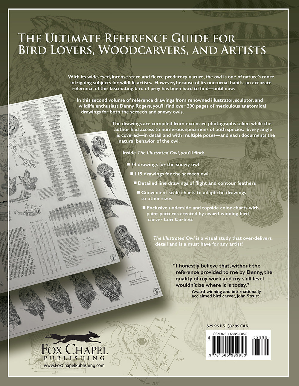 Illustrated Owl: Screech & Snowy - Fox Chapel Publishing Co.