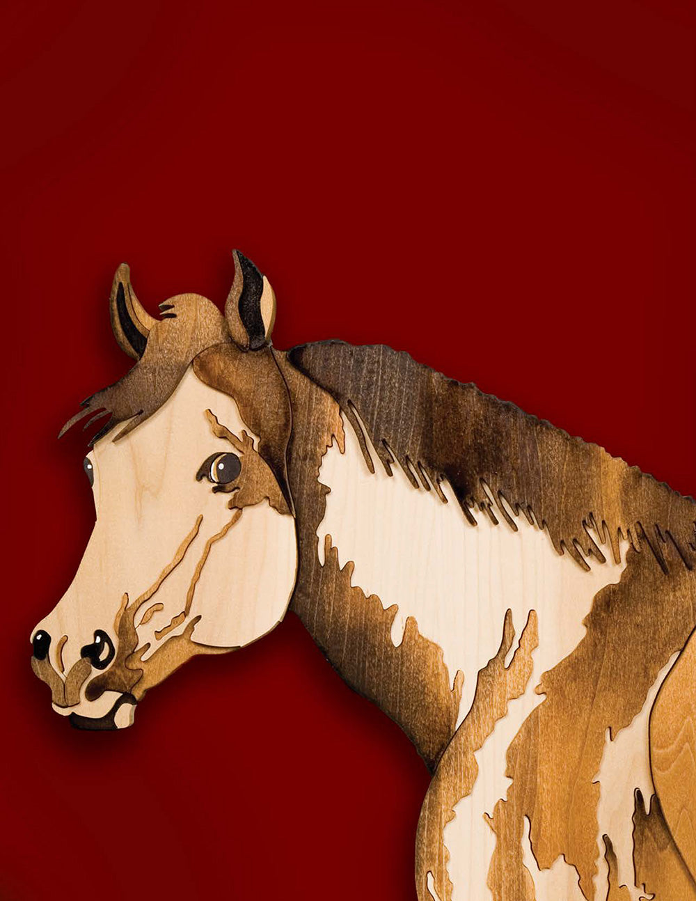 Animal Portraits in Wood - Fox Chapel Publishing Co.
