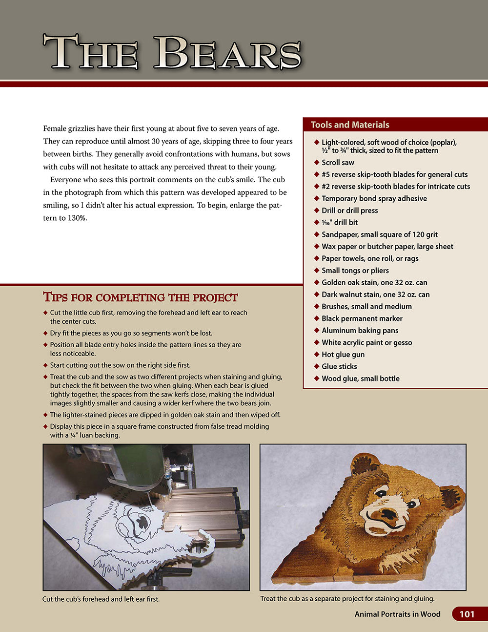 Animal Portraits in Wood - Fox Chapel Publishing Co.