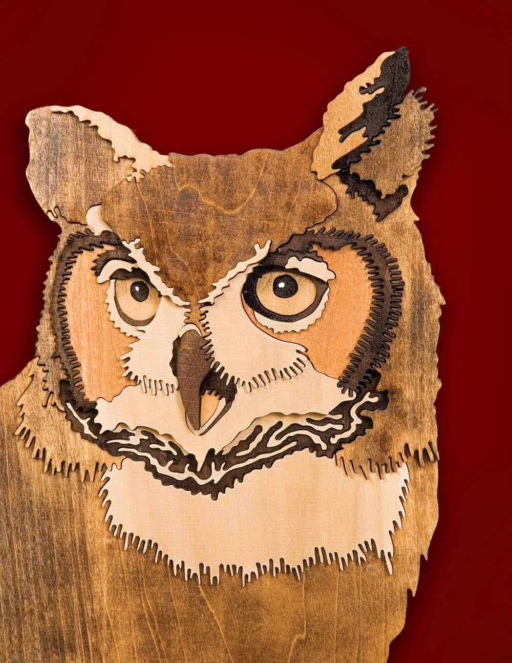 Animal Portraits in Wood - Fox Chapel Publishing Co.