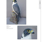 Illustrated Birds of Prey: Red-Tailed Hawk, American Kestral, & Peregrine Falcon
