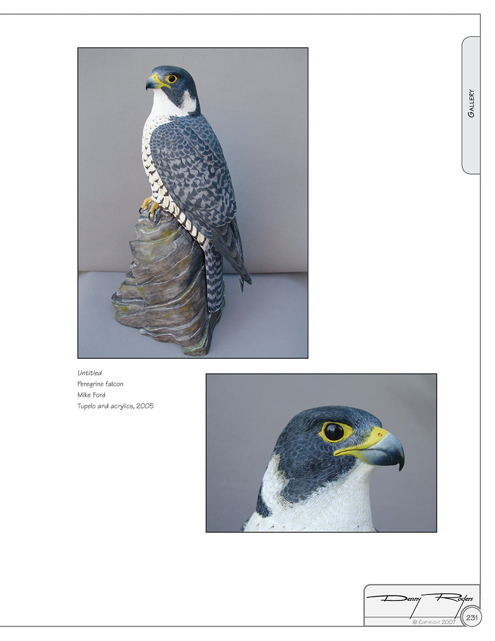 Illustrated Birds of Prey: Red-Tailed Hawk, American Kestral, & Peregrine Falcon