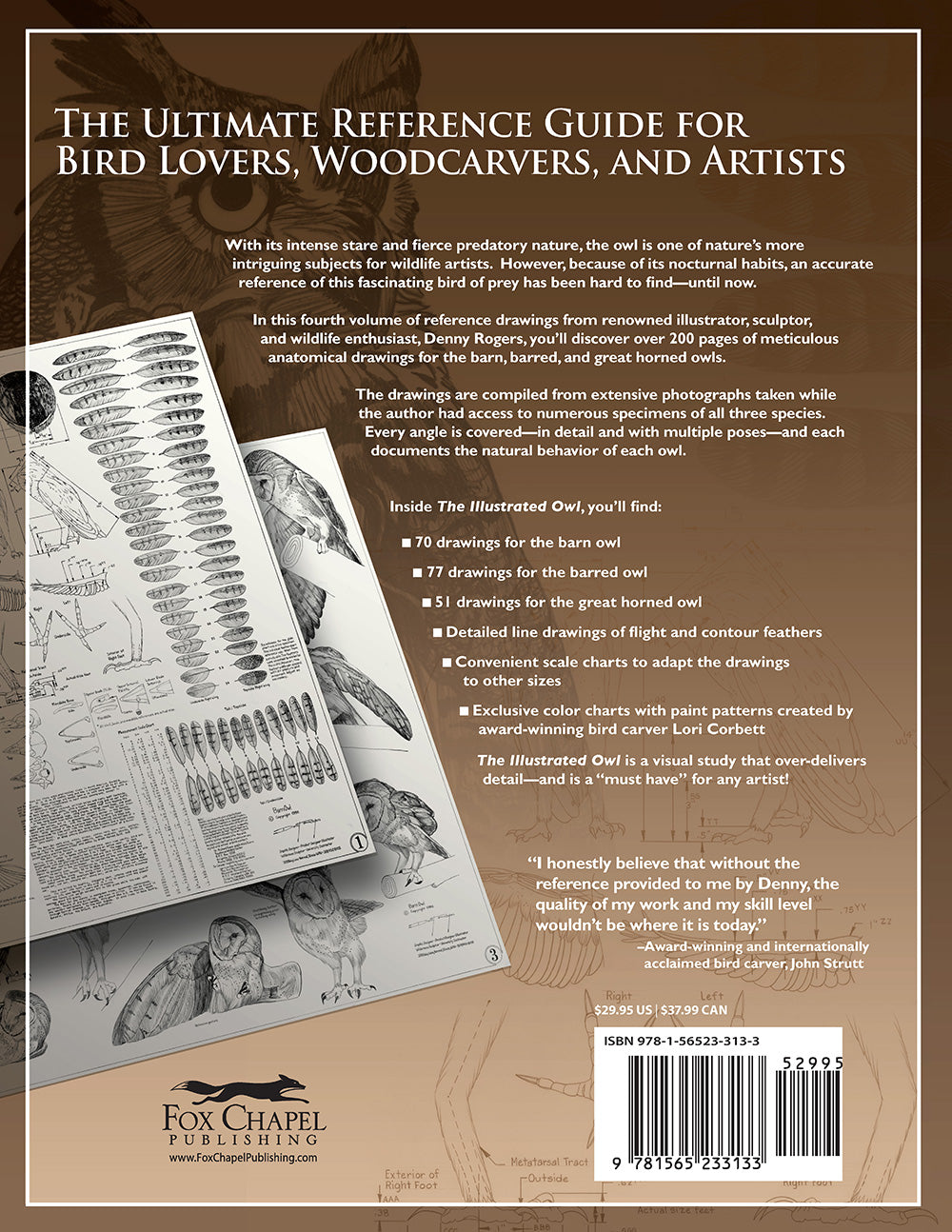 Illustrated Owl: Barn, Barred & Great Horned - Fox Chapel Publishing Co.