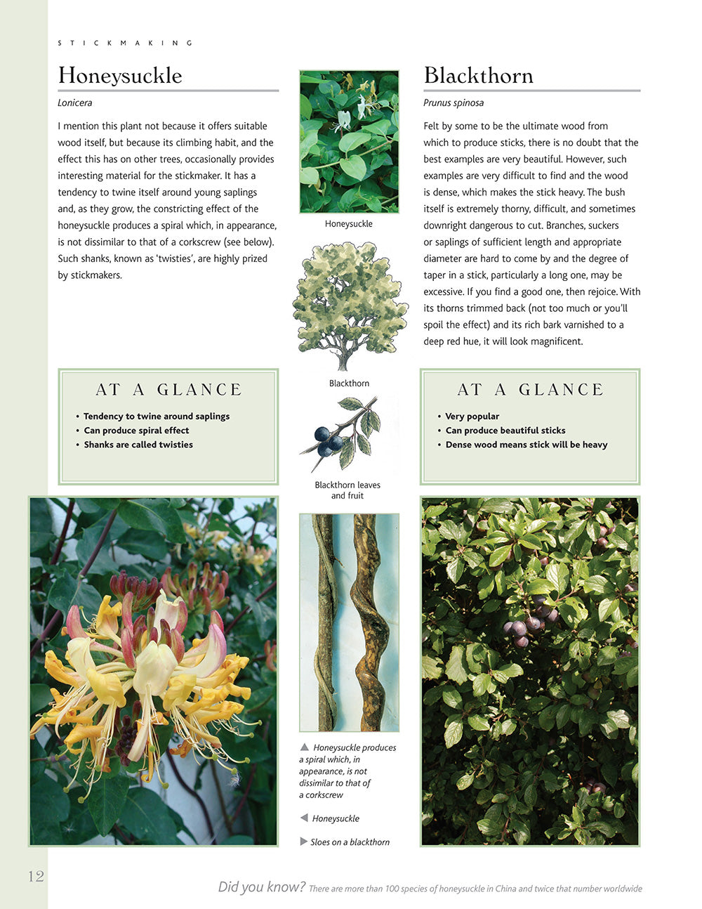 Stickmaking - Fox Chapel Publishing Co.