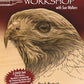 Pyrography Workshop with Sue Walters DVD