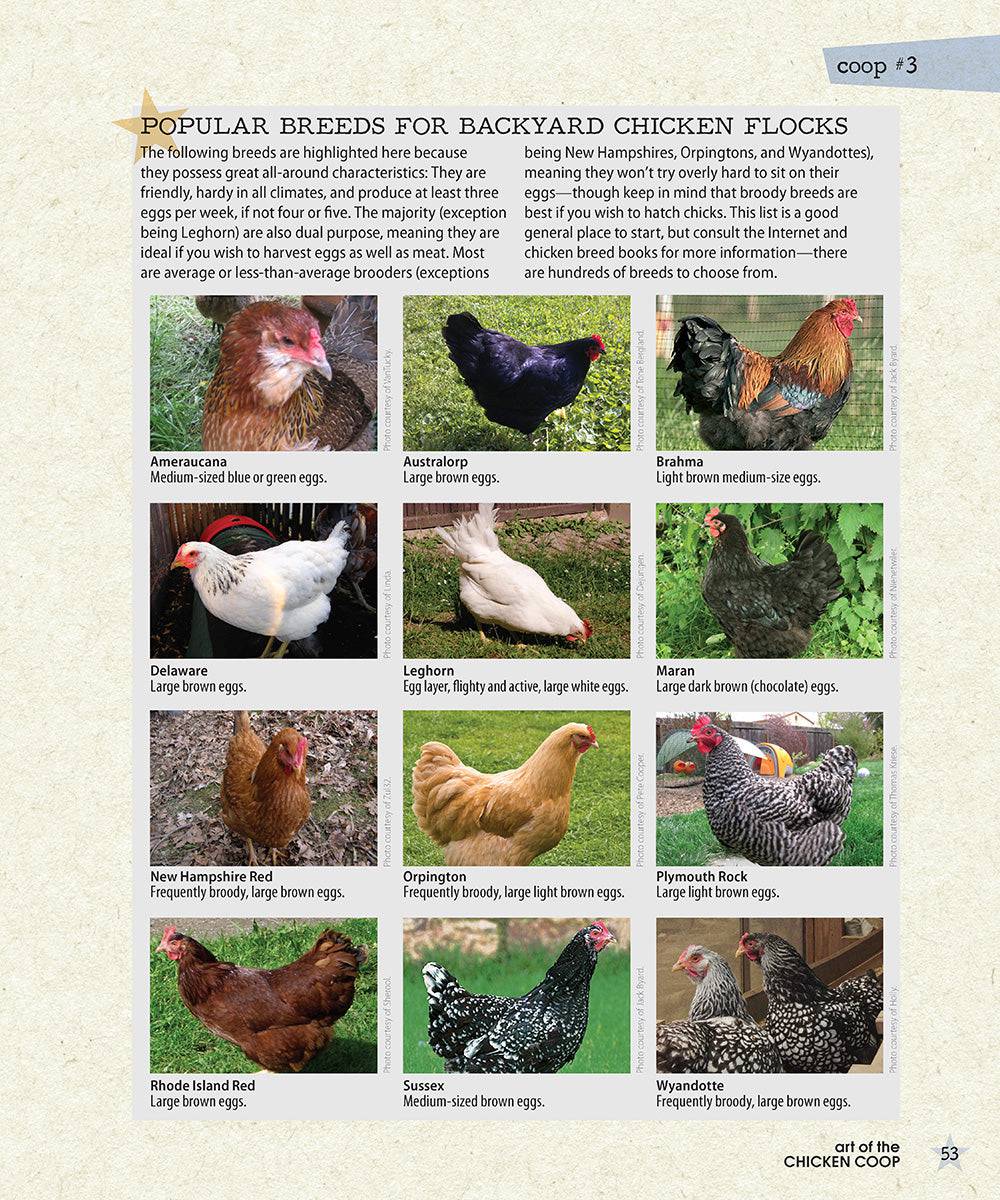 Art of the Chicken Coop - Fox Chapel Publishing Co.