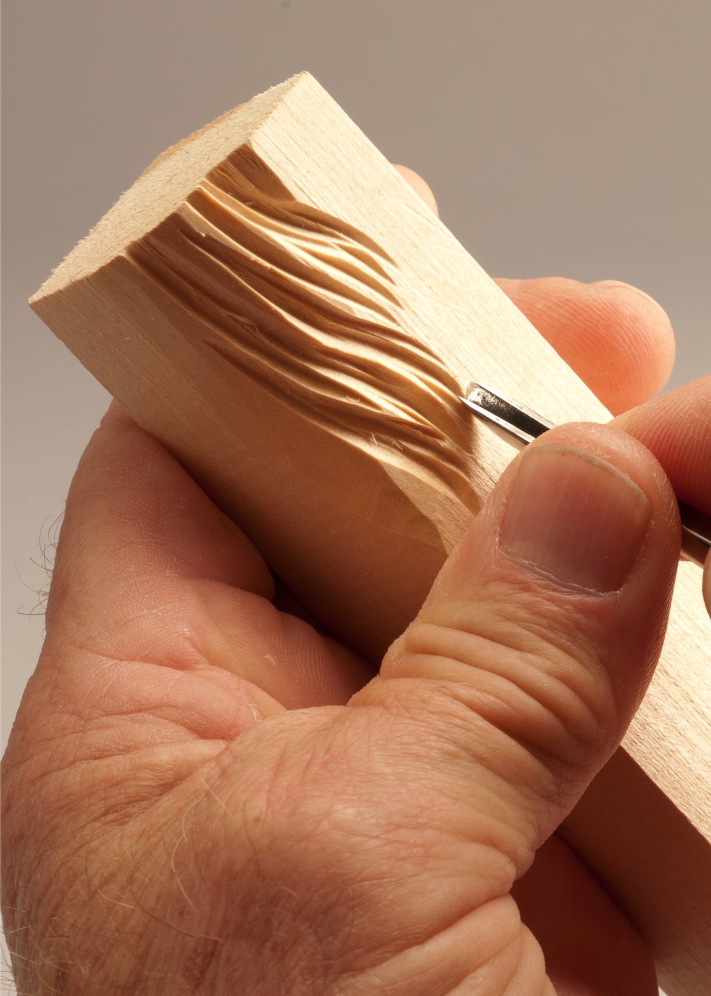 Noses and Hair Study Stick Kit (Learn to Carve Faces with Harold Enlow) - Fox Chapel Publishing Co.