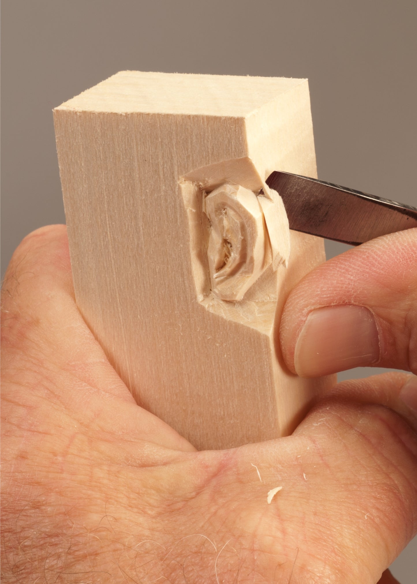 Basic Ear Study Stick Kit (Learn to Carve Faces with Harold Enlow)