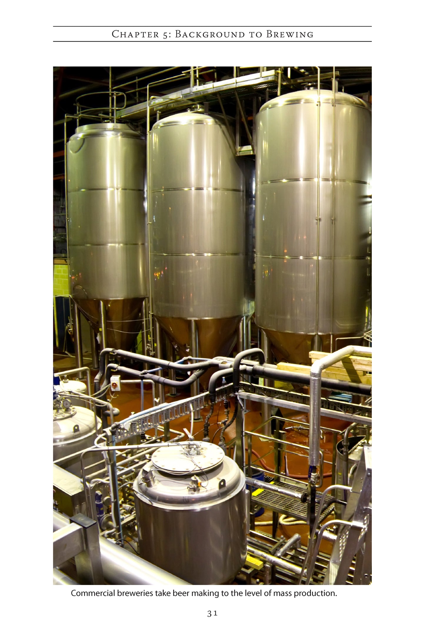 Homebrewed Beers & Stouts - Fox Chapel Publishing Co.