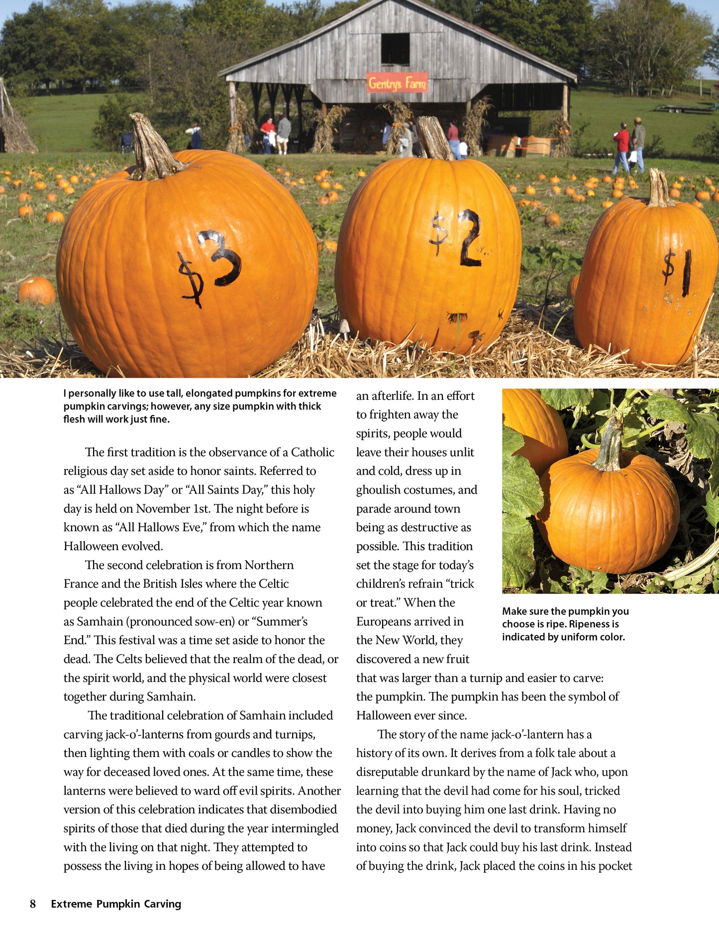 Extreme Pumpkin Carving, Second Edition Revised and Expanded - Fox Chapel Publishing Co.