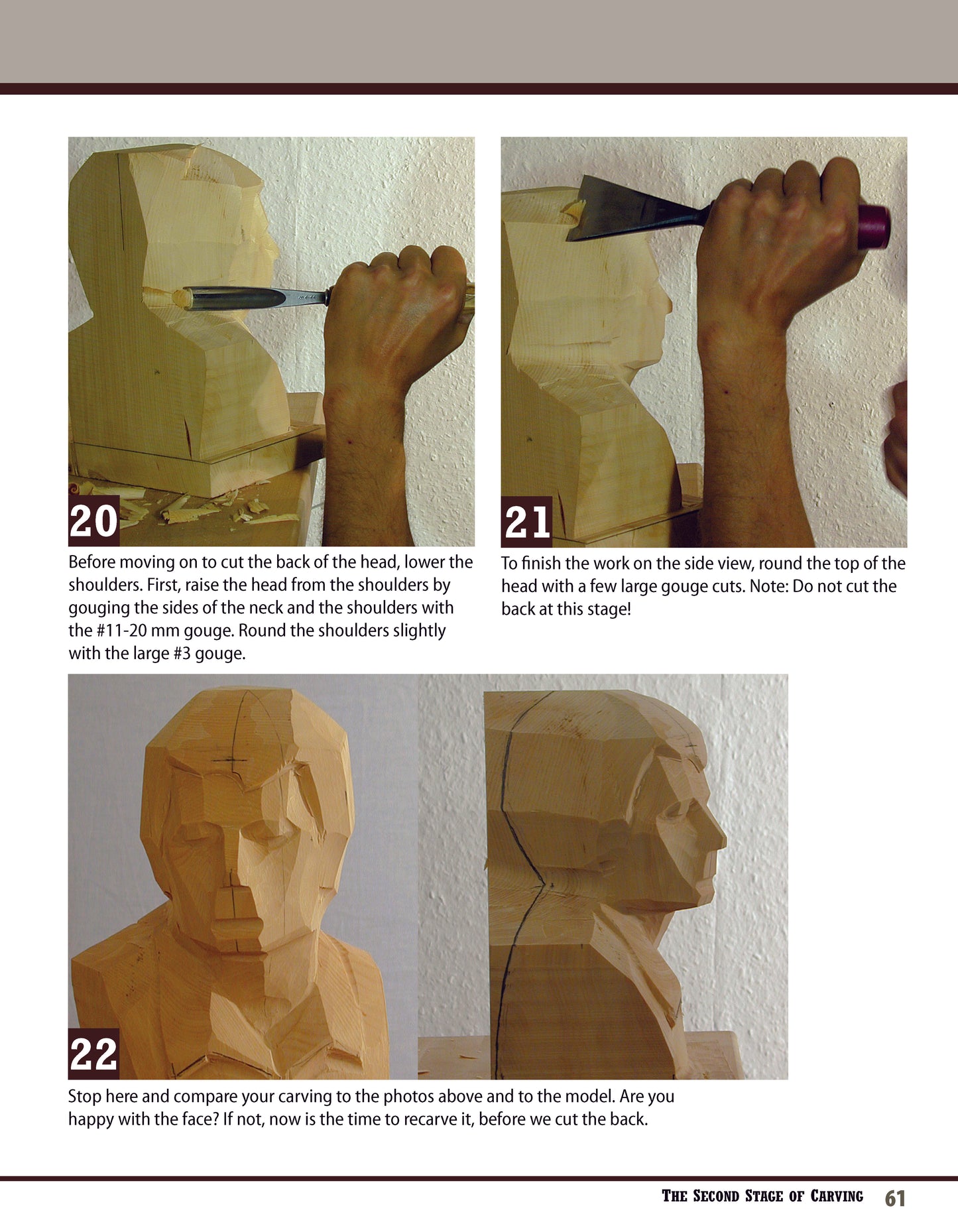 Carving the Head in the Classic European Tradition, Revised Edition